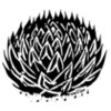 CACTUS06