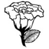 FLOWER10