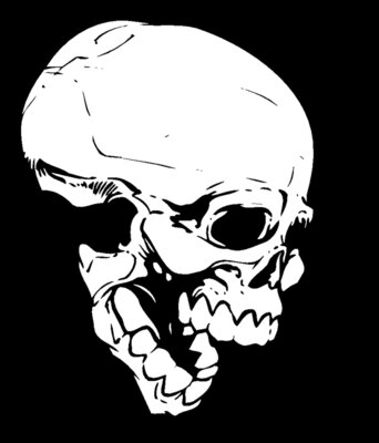 skull