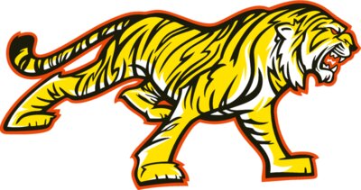 tigerm016