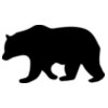 Bear   Clipart 1