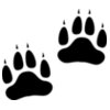 Bear   Clipart 2