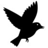 Bird   Clipart 1