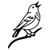 Bird   Clipart 2