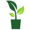 Potted Plant