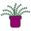 Plant 3