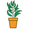 Plant 2