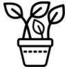 Plotted Plant 3