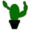 Cactus 4