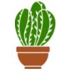 Cactus 3