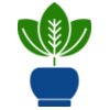 Plant 2